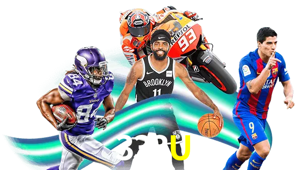 333U