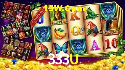333U