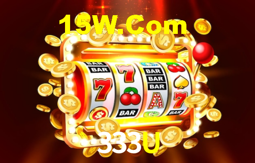 Premium Interface 333U
